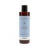 COLOR SHAMPOO ARTEGO  250ml