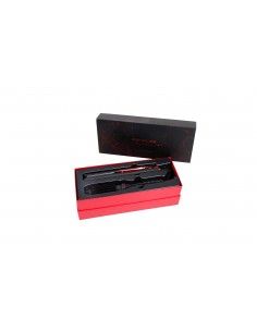 Plancha profesional + Cepillo Hot Brush 2