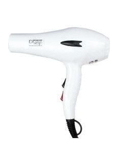 Secador de Cabello Profesional 2